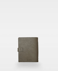CARLO notebook - Clay